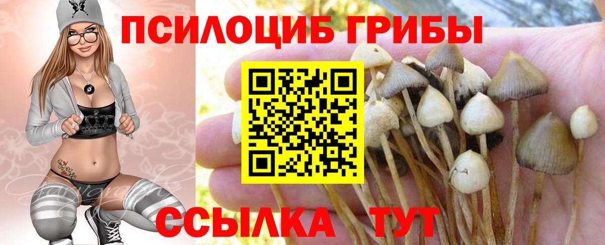 Галлюциногенные грибы ЛСД Ессентуки